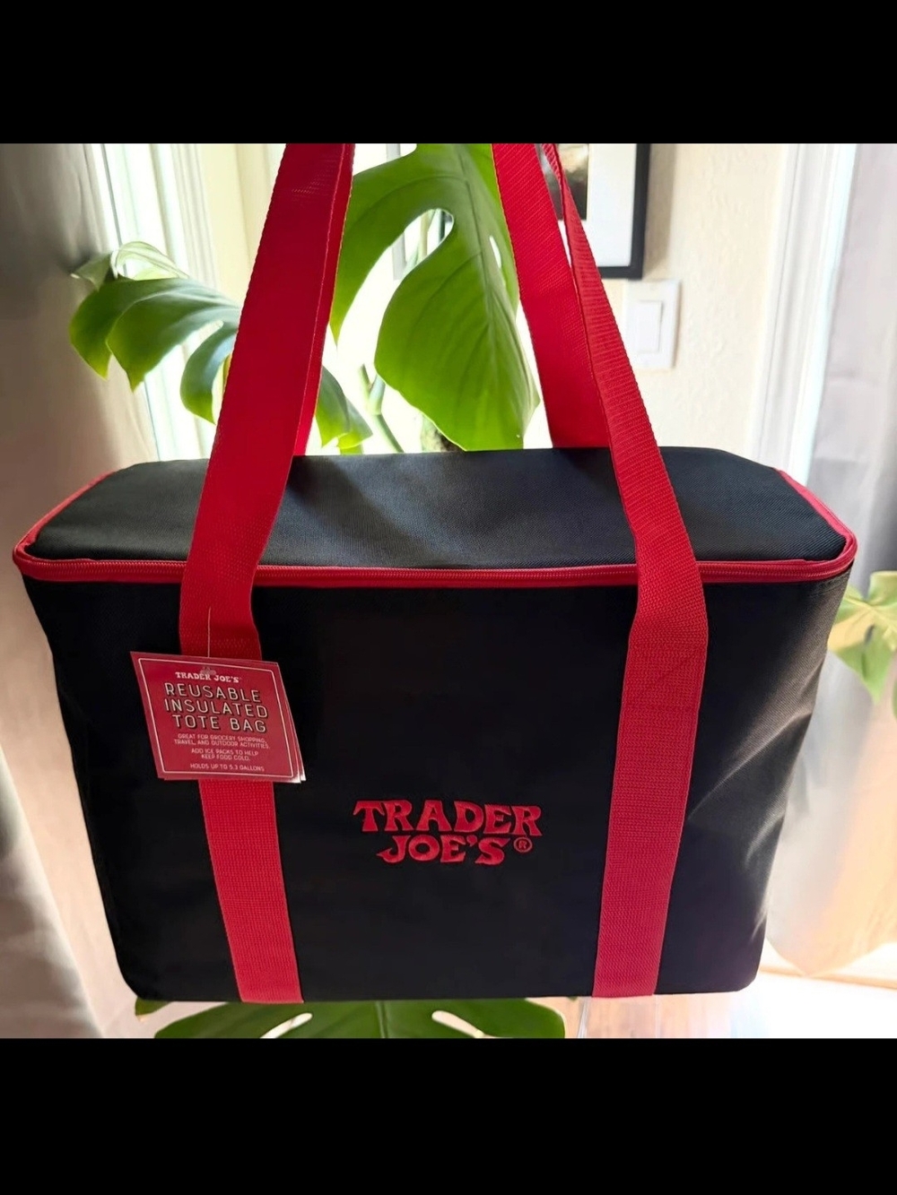 NEW Large Trader Joe's Black and Red Insulated Duffel Tote